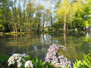 Wiosna nad zbiornikiem wodnym