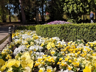 IMG_20190430_105442.jpg