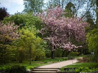 Kwitnący Ogród Botaniczny